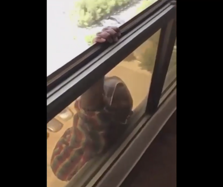 Mulher filma empregada caindo da janela e não ajuda