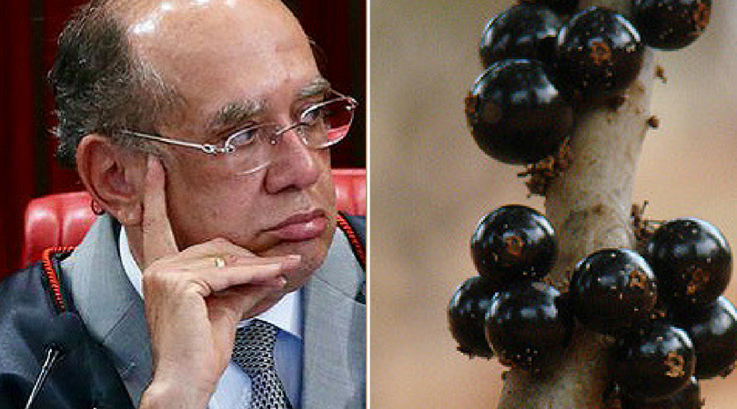 TSE? Jabuticaba? O que só existe no Brasil?