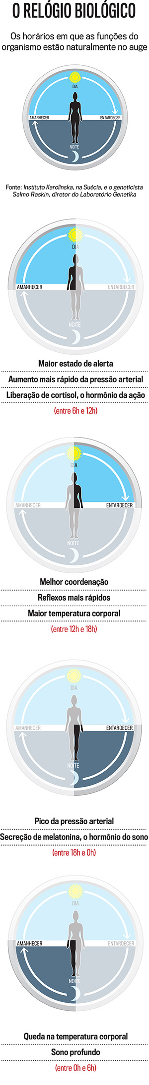 arte-relogio-biologico