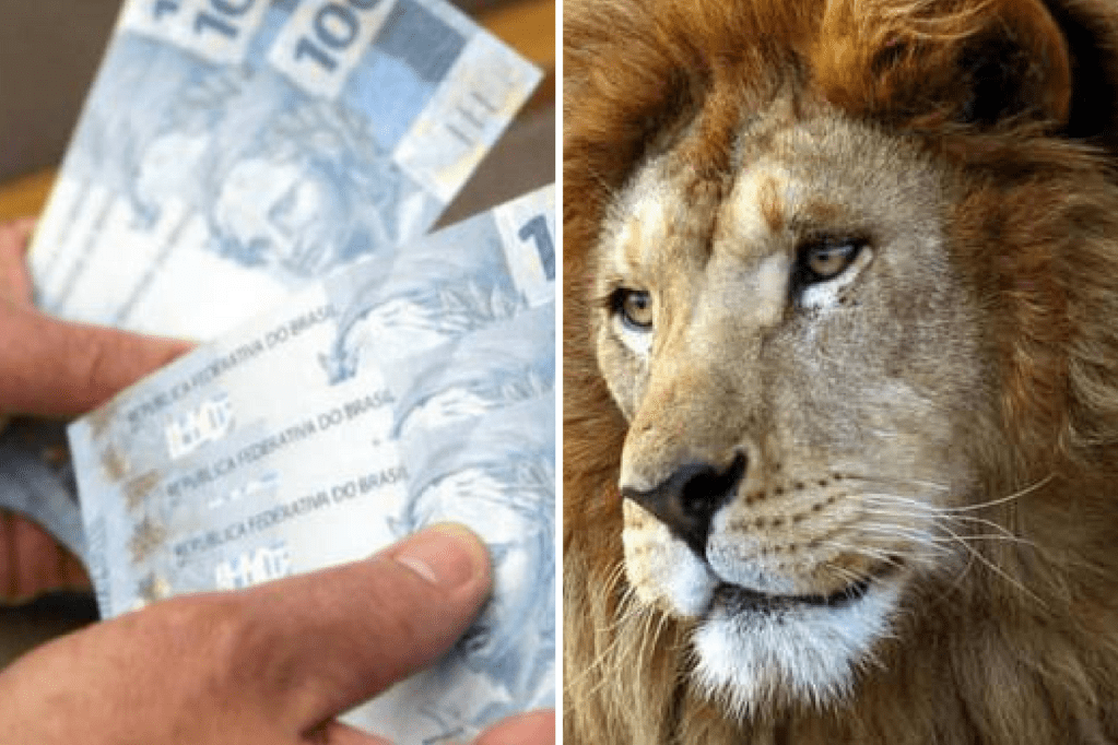 Imposto de Renda: Receita paga restituições do 2º lote nesta segunda (16)