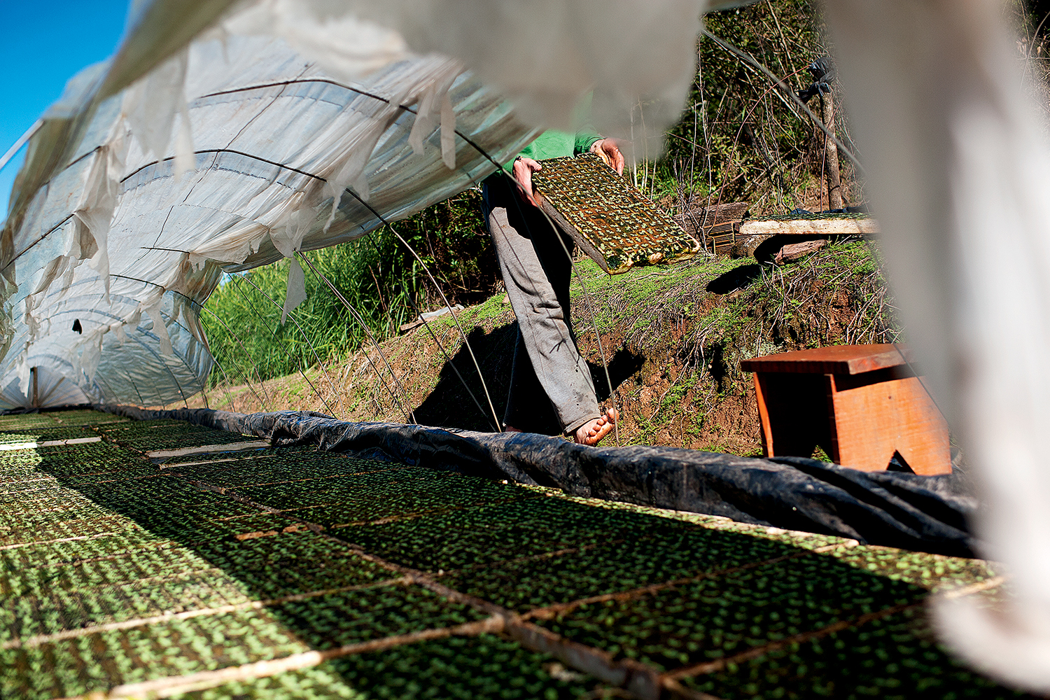 Terra dos enforcados