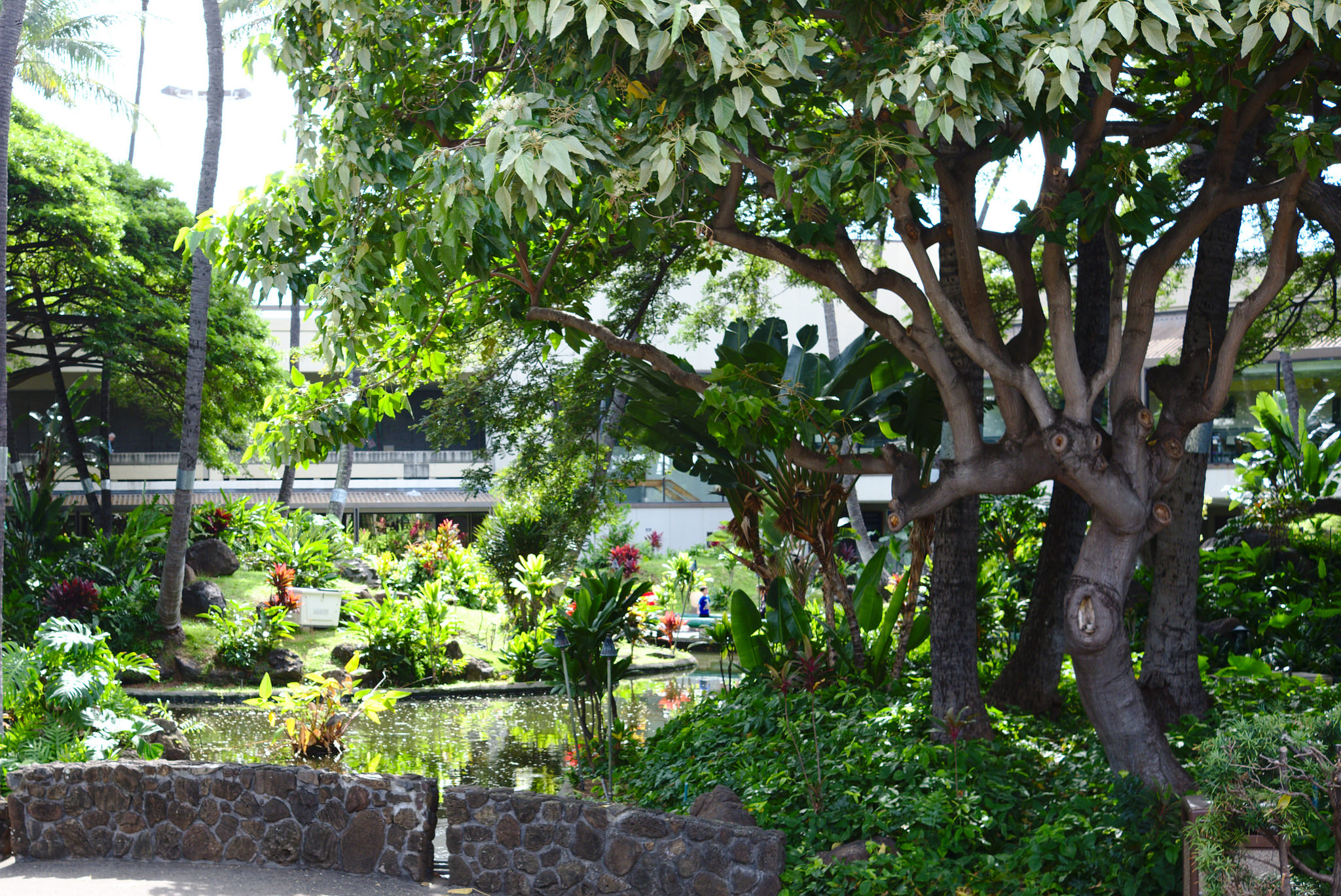 28756160937_f9764e0a60_k