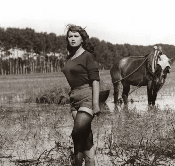 SILVANA MANGANO EM RISO AMARO