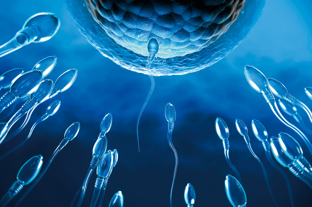 Estudo aponta doença que afeta a qualidade do sêmen desde a juventude