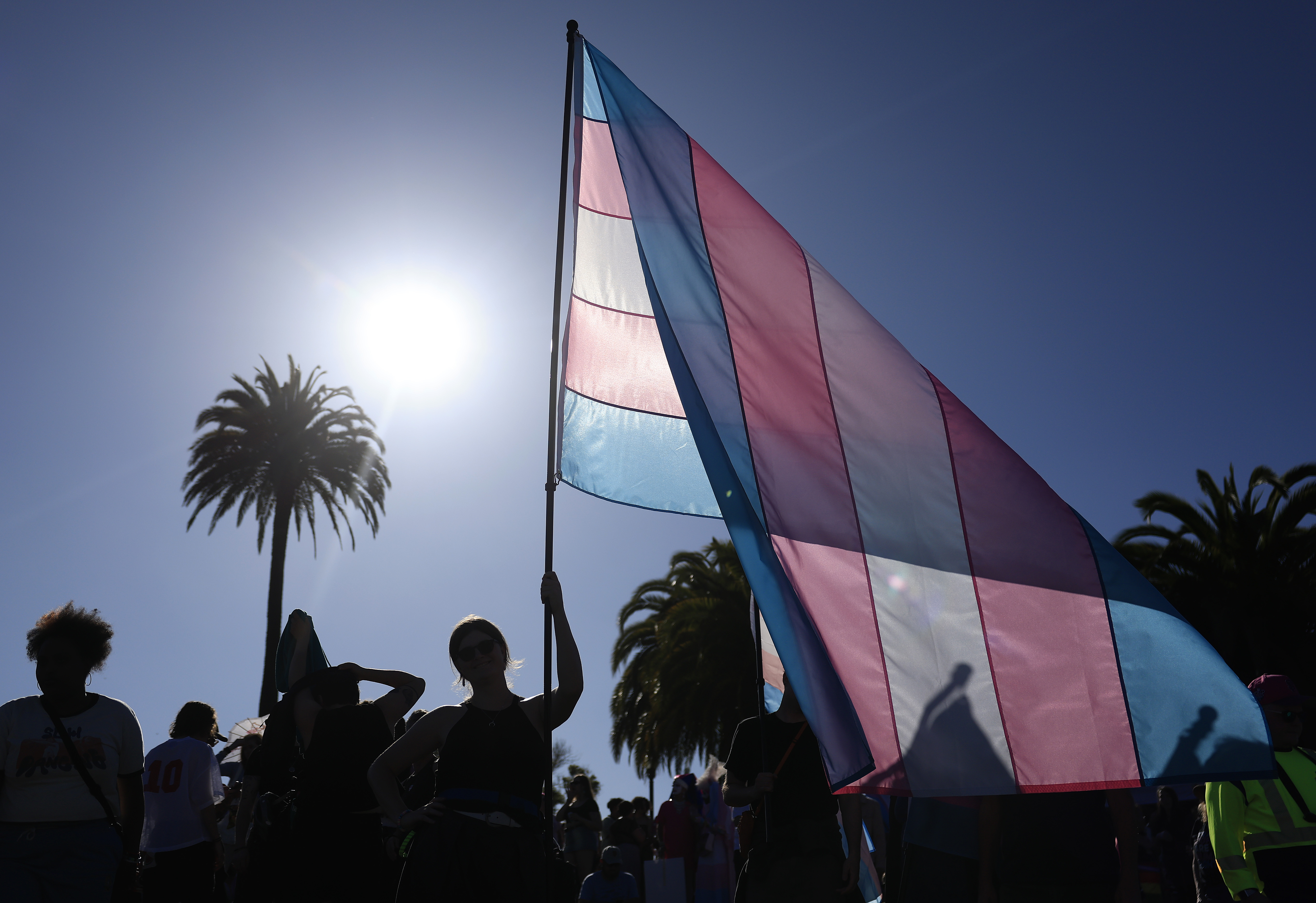 Bandeira da população transgênero ou trans