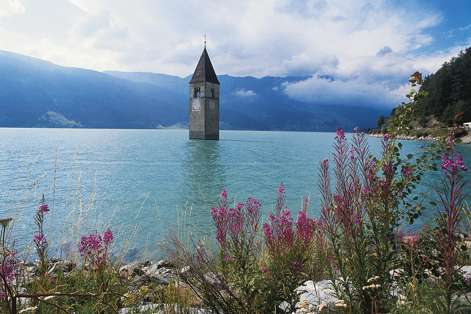 The old bell tower of Curon Venosta church
