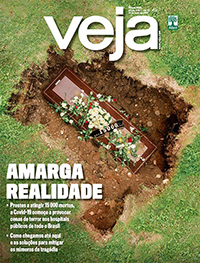 Covid-19: Amarga realidade