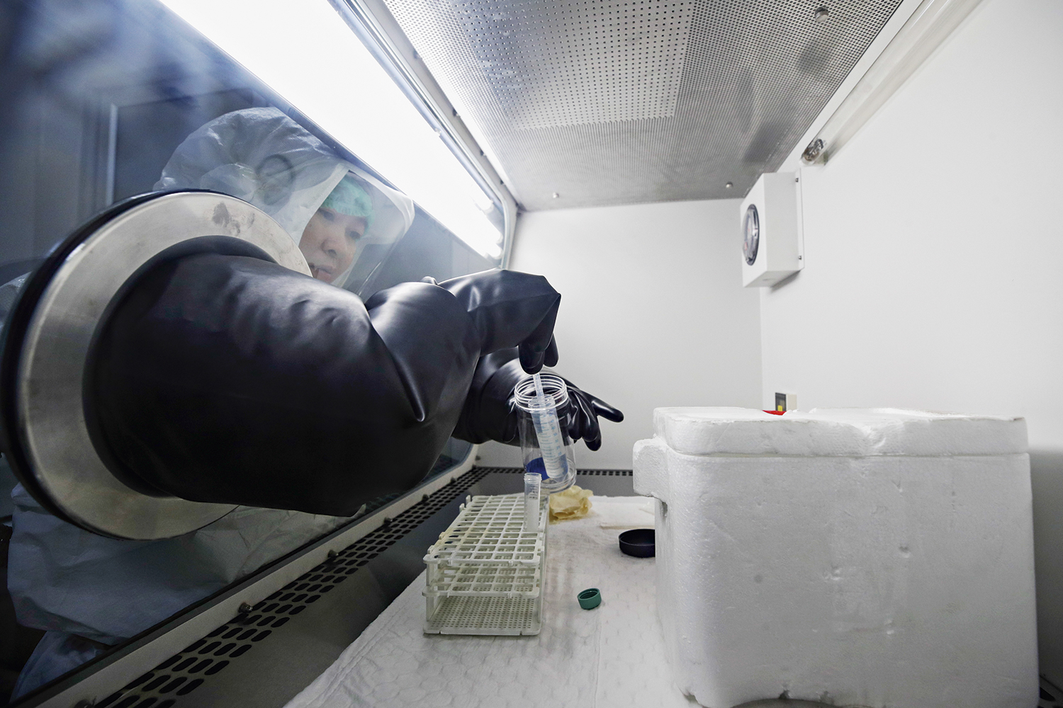 TESTE -&ensp;An&aacute;lise de amostra no Jap&atilde;o: necessidade de conhecer o v&iacute;rus atual -