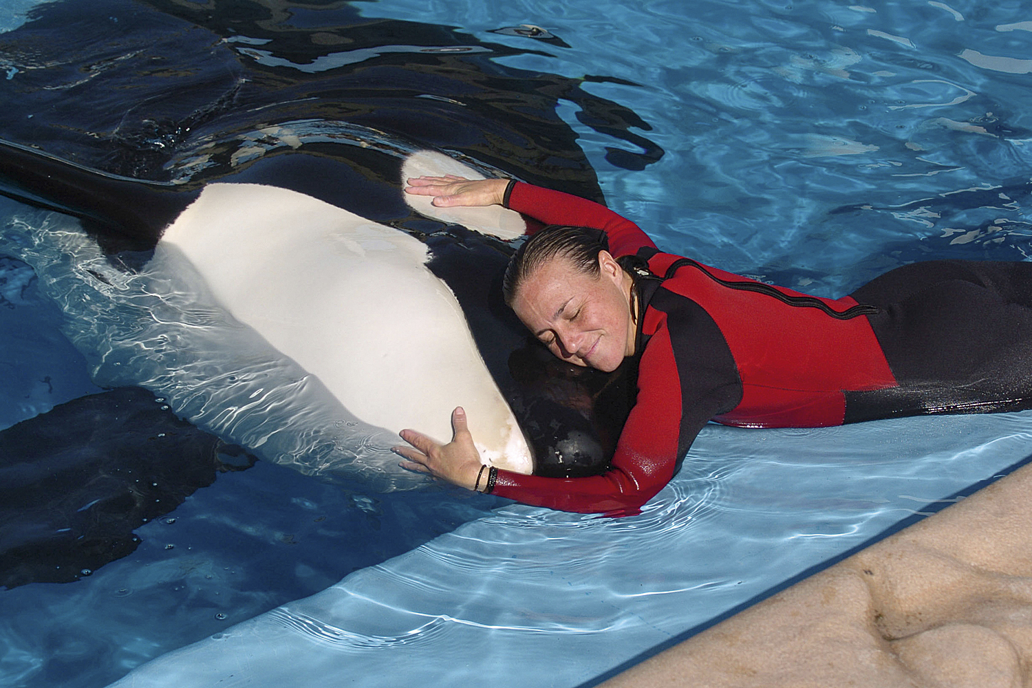 RARIDADE -&ensp;Dawn e uma orca do Sea World: treinadora foi morta por animal