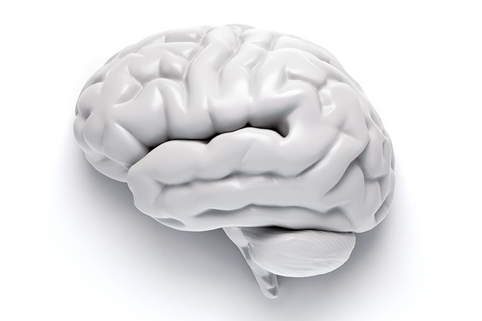 O que está por trás do processo de morte cerebral