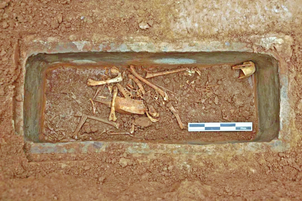 ARQUEOLOGIA - Panda do Imperador: esqueleto completo &eacute; raridade