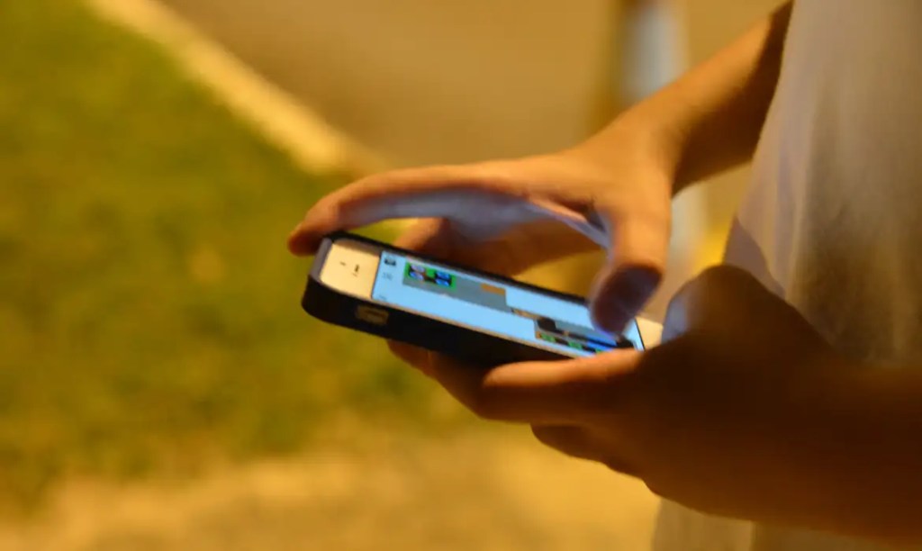 O Discurso do Rei: o mundo de ilusões da vida virtual