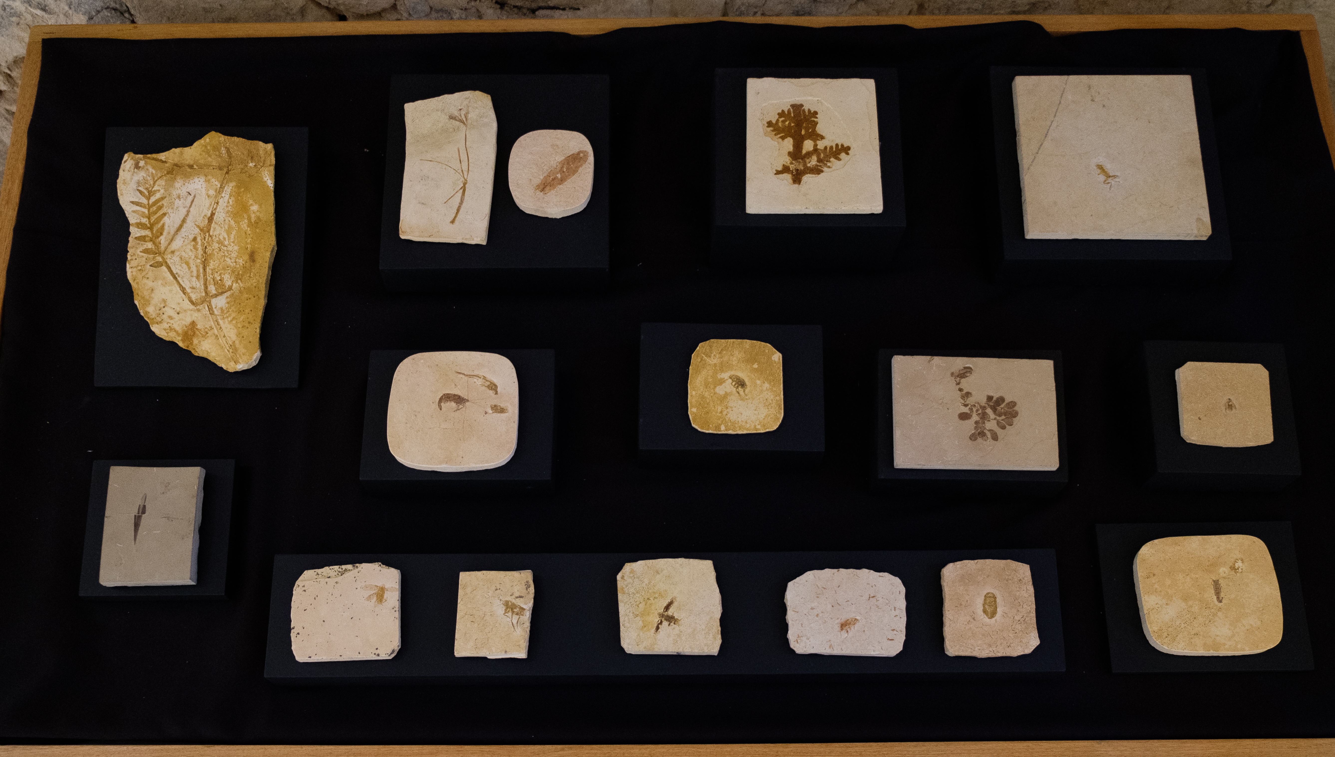 DiogoVasconcellos_MN-2716