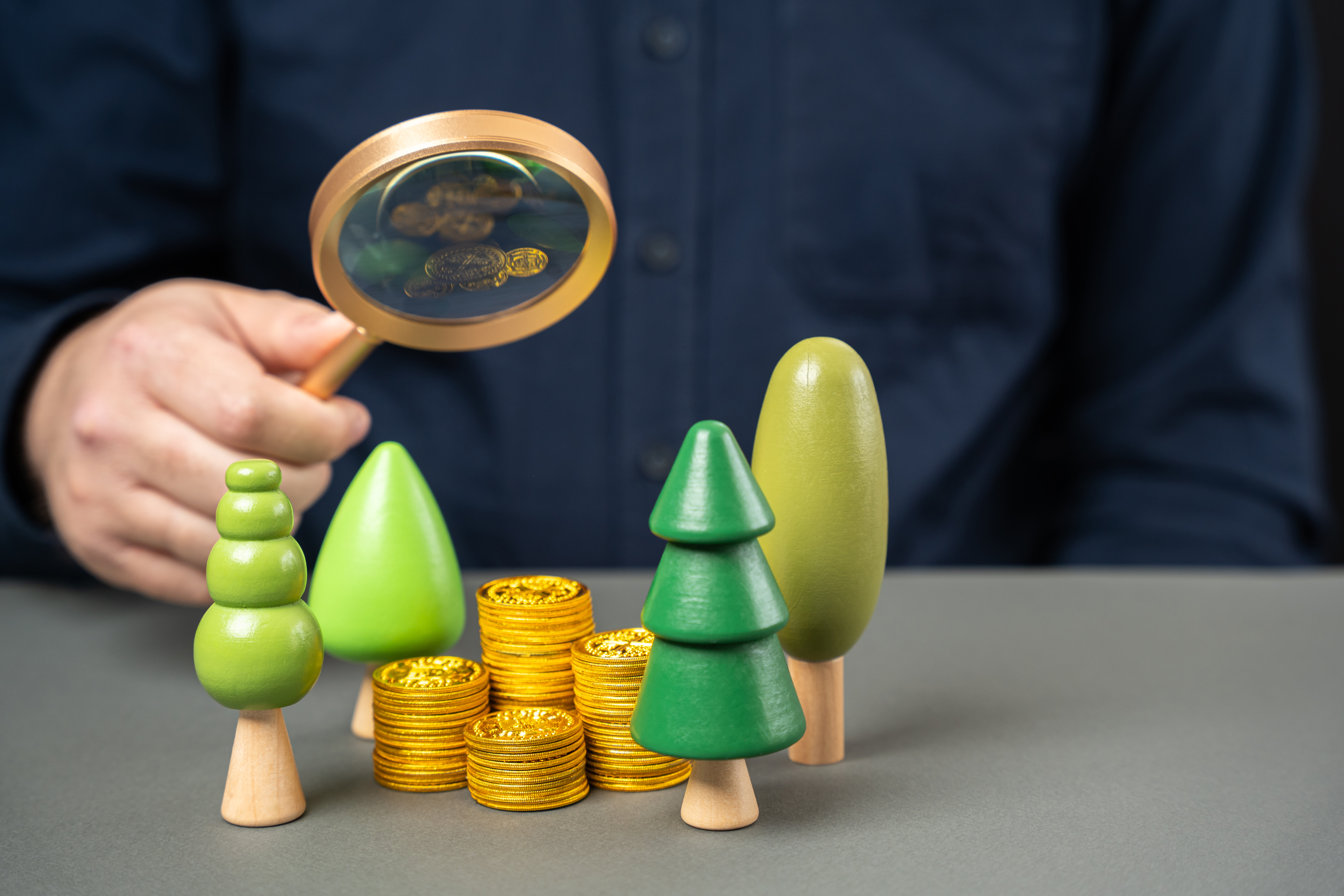 Businessman holding magnifying glass over trees near coins. green bonds. The concept of investment in the development of city parks and the planting of greenery and plants. Fresh air Caring for nature