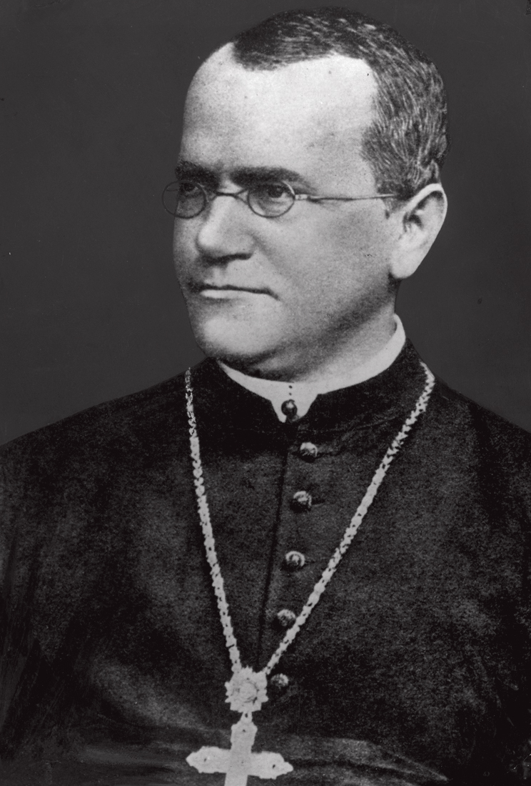 VISION&Aacute;RIO -&ensp;Gregor Mendel: bot&acirc;nico austr&iacute;aco descobriu as leis que regem a hereditariedade