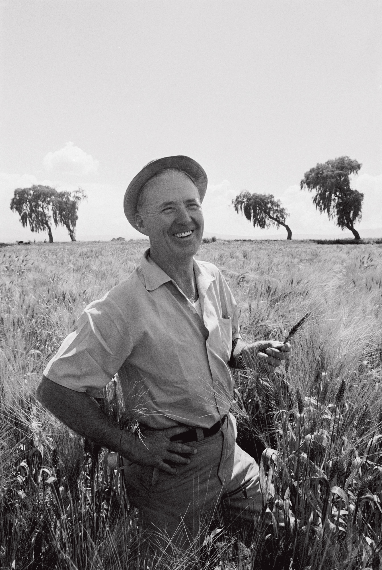 NOBEL DA PAZ -&ensp;Norman Borlaug: agr&ocirc;nomo mudou o trigo para combater a fome