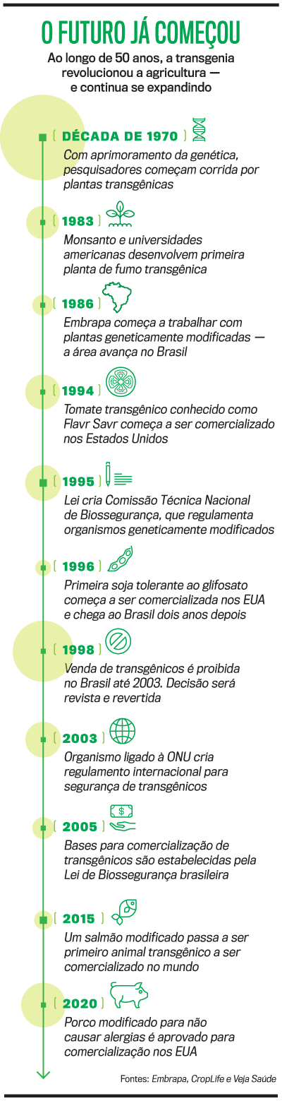 arte transg&ecirc;nicos