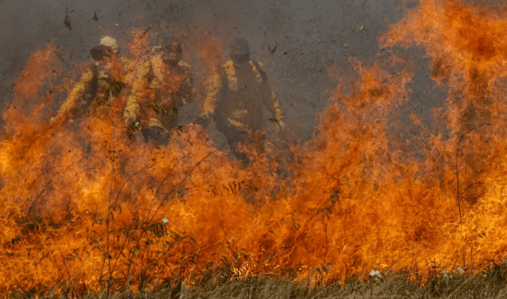 AGU cobra R$ 725 milhões de apenas três infratores ambientais no Pantanal