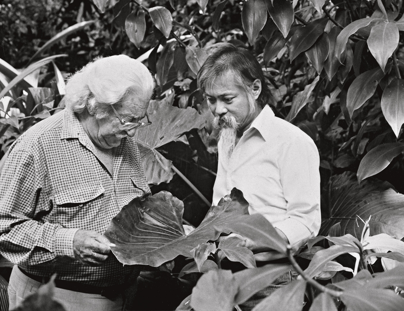 Burle Marx com o s&oacute;cio Haruyoshi Ono: defesa dos biomas brasileiros