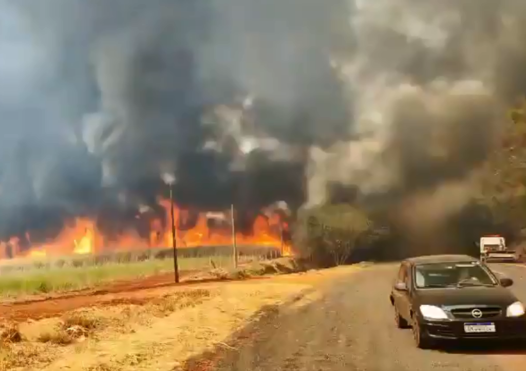 PF vai investigar focos de incêndios no país