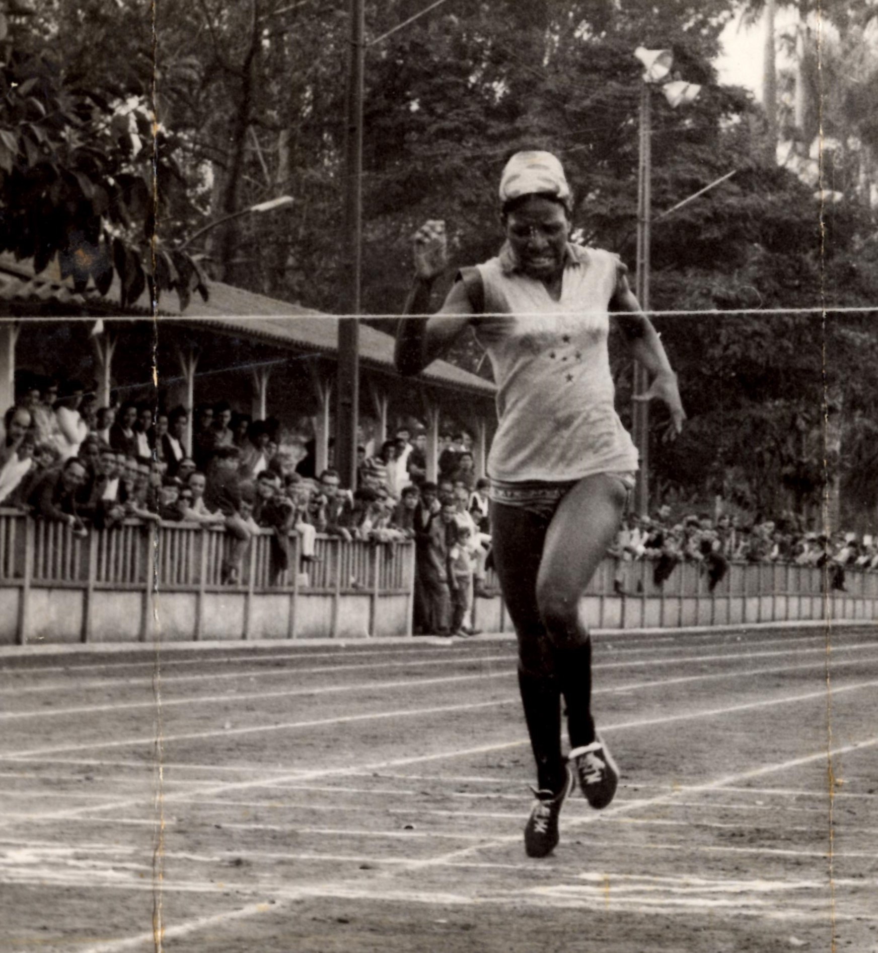 -Irenice Maria Rodrigues: contestadora, ela foi &ldquo;apagada&rdquo; pelas autoridades no tempo da ditadura