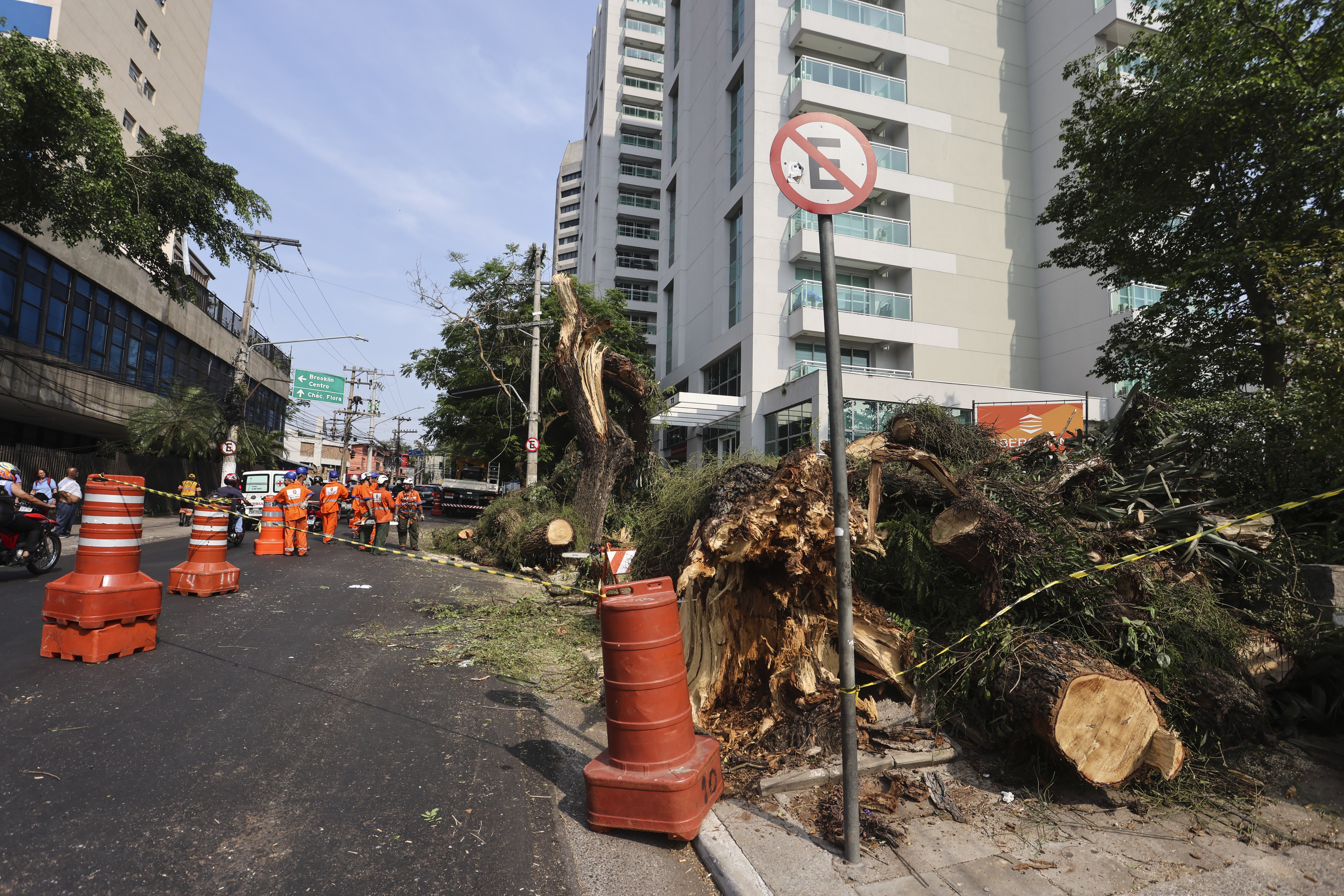 Rain Causes Destruction And Many Trees Fall In São Paulo