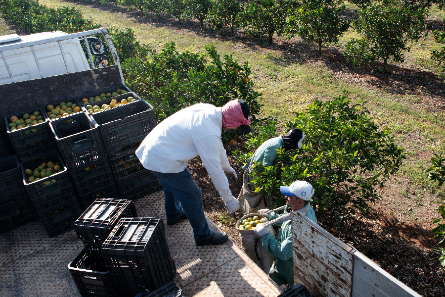 agro-trabalhadores