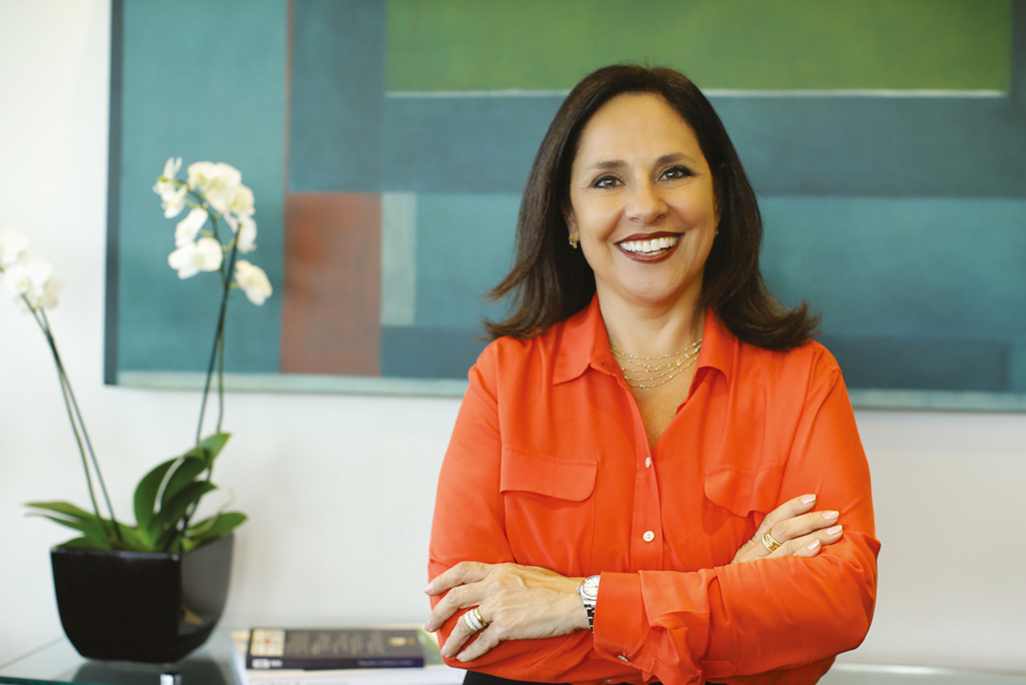 ESTUDO E CAPACITA&Ccedil;&Atilde;O - Sofia Esteves, 62, chegou a duvidar do pr&oacute;prio talento, mas superou as dificuldades recorrendo &agrave; capacita&ccedil;&atilde;o. &ldquo;Queria me qualificar mais e mais para provar a mim mesma que era boa o suficiente&rdquo;, diz ela, que comanda uma empresa de RH.