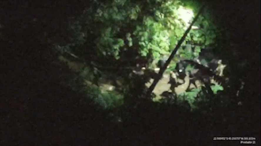 Operação na Rocinha: 400 traficantes fogem pela mata e expõem aliança do CV entre Rio e Ceará