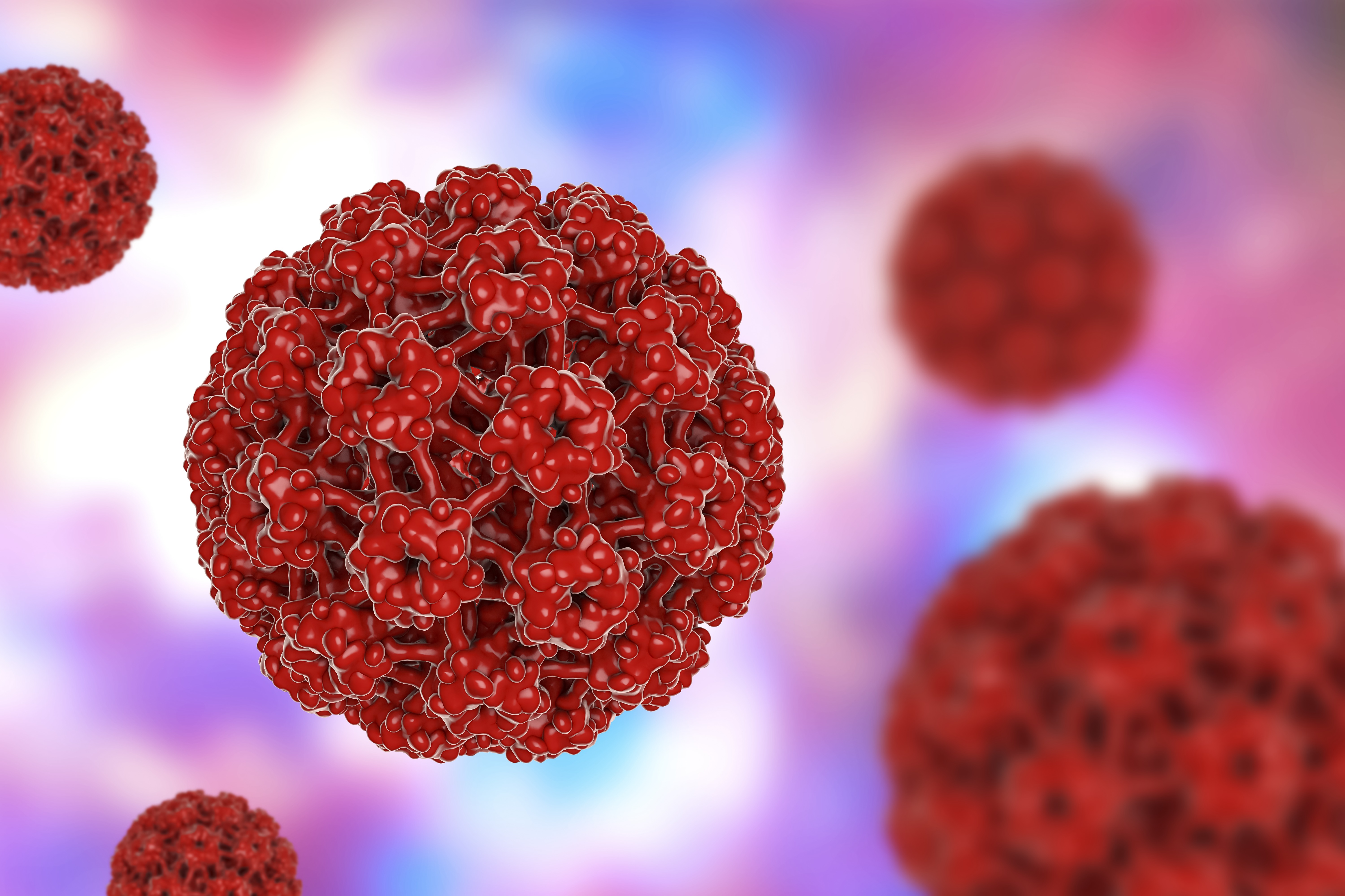 Human papilloma virus, illustration