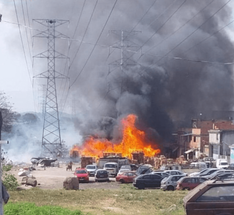 Incêndio no Rio matou 19 animais – entre cachorros, gatos, jabutis e até cavalo