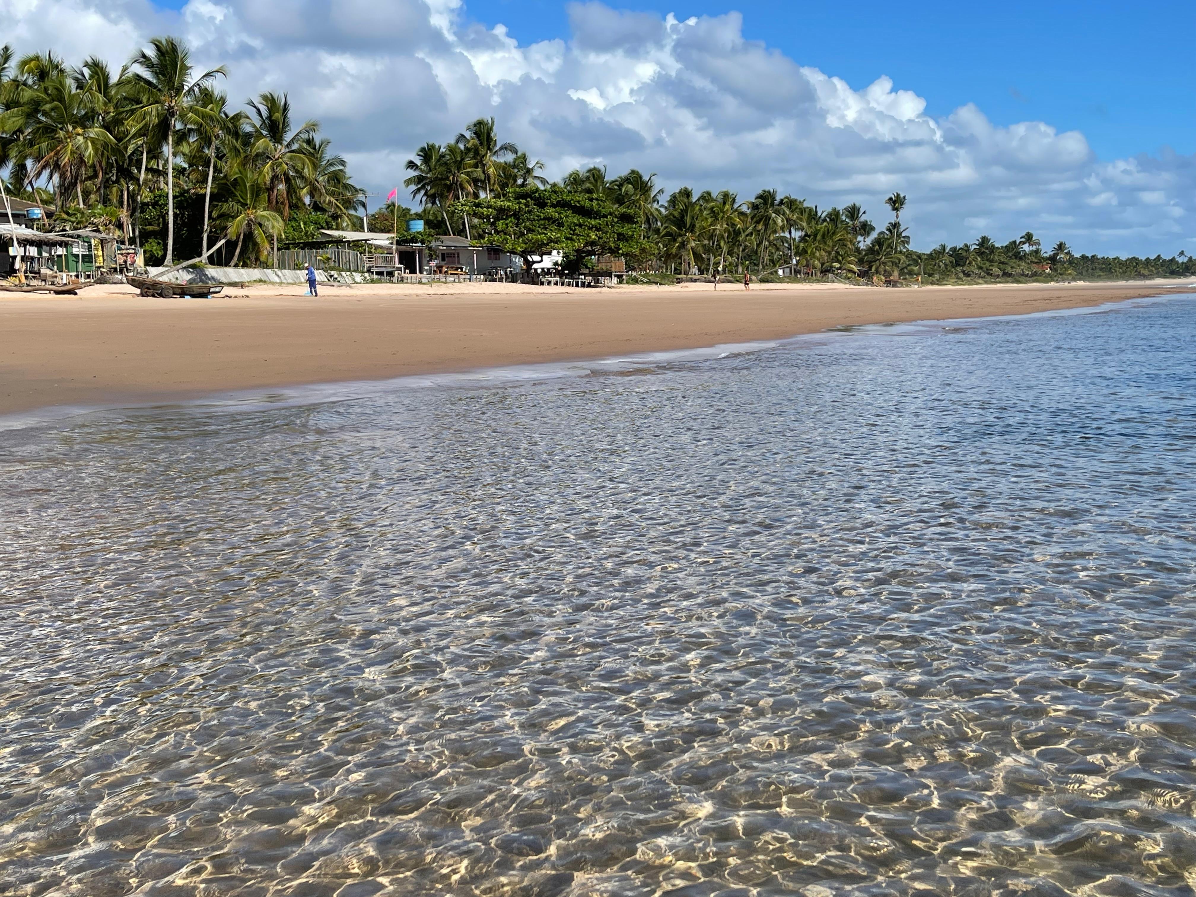 WhatsApp Image 2026-01-16 at 13.24.35