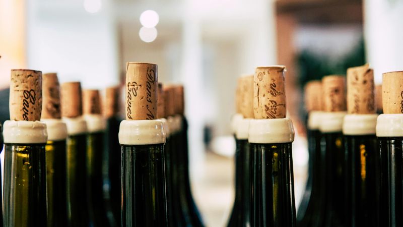 WhatsApp Image 2026-01-17 at 09.42.11