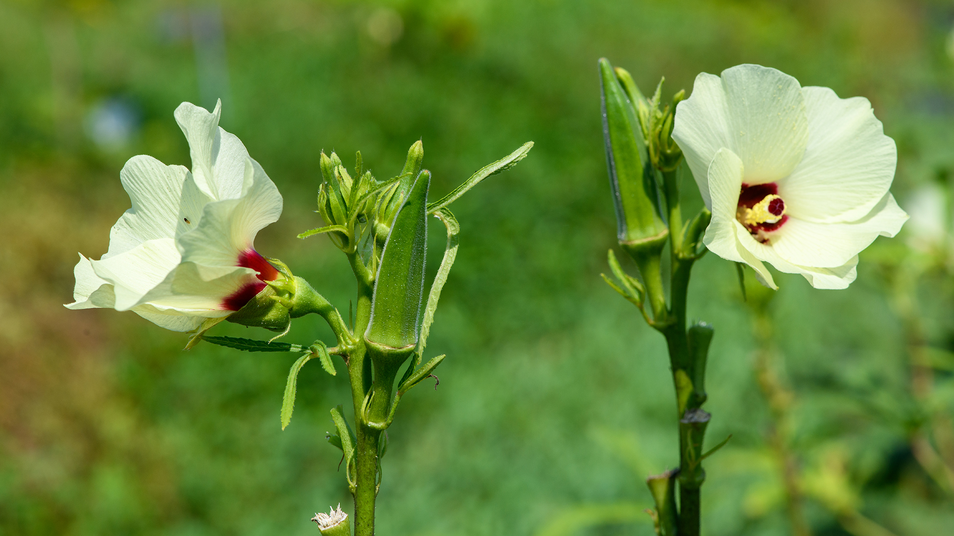 GettyImages-2167011248