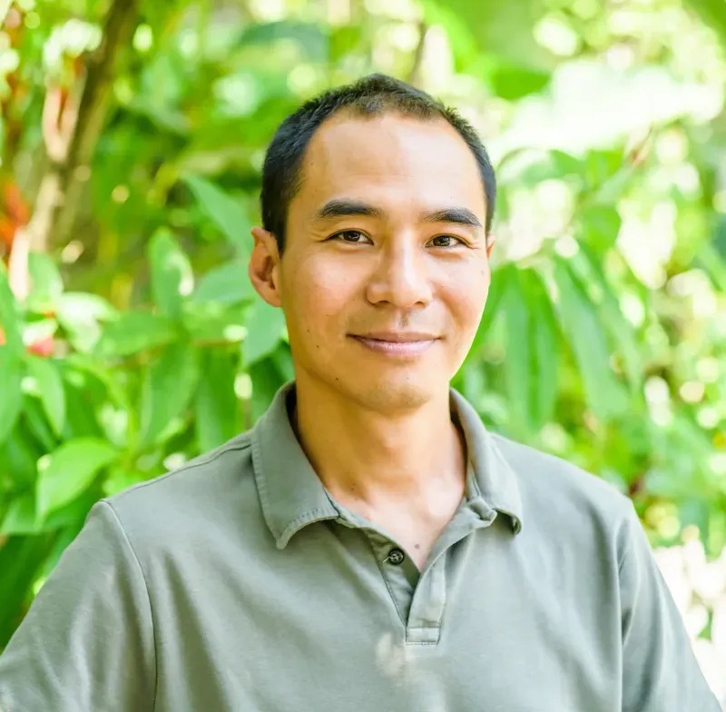 'Brasil pode receber até US$ 26 bi por ano para plantar florestas', diz chefe da Biomas